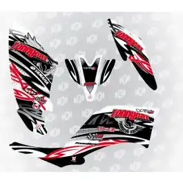 Usine Directe Kit deco TONNYCAT RACING Race edition : 250 RAPTOR fond blanc