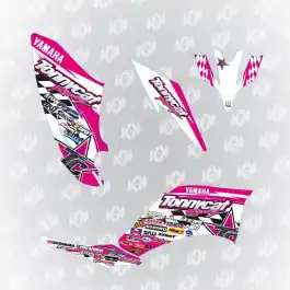 Top Vente Kit deco NASCAR ROSE/BLANC pour 250 RAPTOR